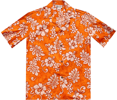Hawaii Shirts (Hawaï Shirts)