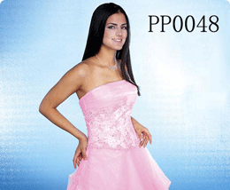 Evening Dress (Evening Dress)
