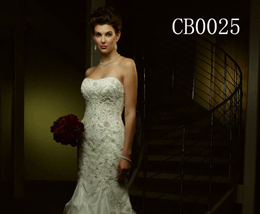 Evening Dress (Evening Dress)