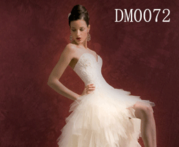 Evening Dress (Evening Dress)
