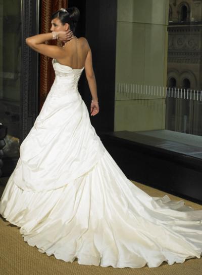 Inu Wedding (Inu Wedding)