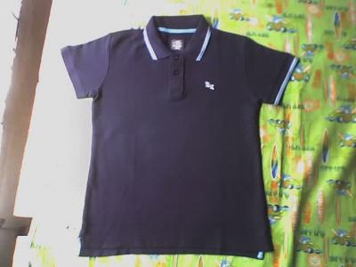 Polo Shirt (Polo)