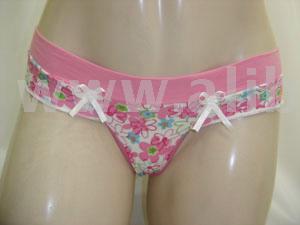 Women`s Panties (Women`s Panties)