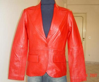 Lederjacke (Lederjacke)