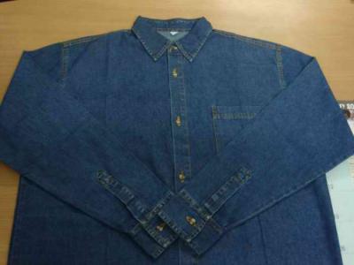 Denim Shirt (Denim Shirt)