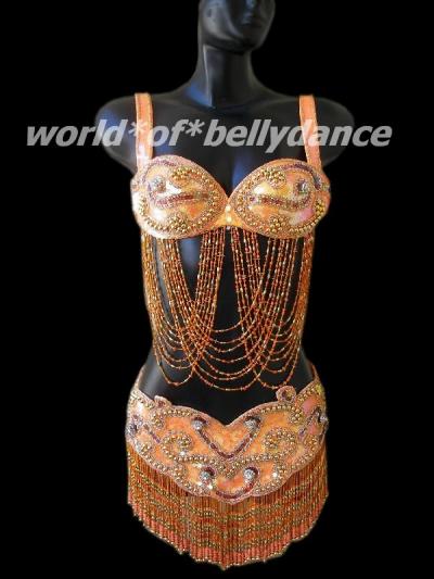 Belly Dancing Clothes on Belly Dance Costume 2  Professional Belly Dance Costume 2