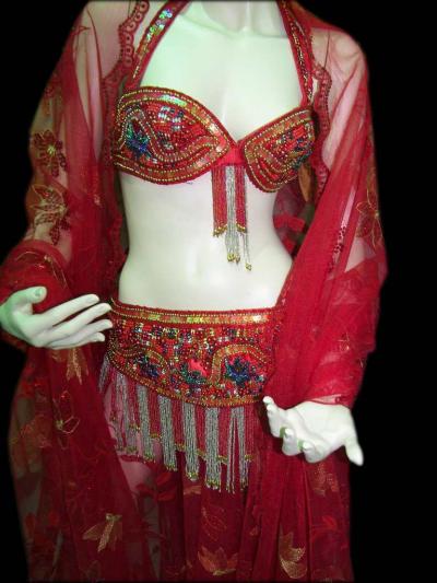 Professional Belly Dance Costume 1 (Professional Belly Dance Costume 1)