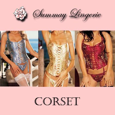 2008 New Style Sexy Lingerie (2008 New Style Lingerie Sexy)