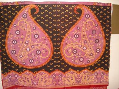 Saris (Saris)