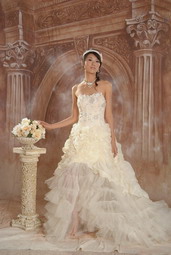 Wedding Dress (Wedding Dress)