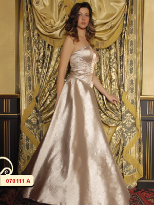 Evening Dress (Evening Dress)