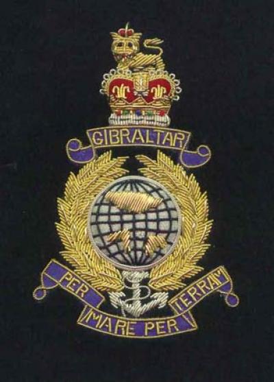 Regimental Badges (Полковая Значки)