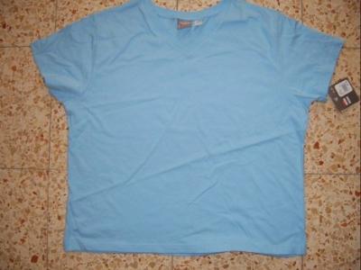 Ladies T-Shirt (Damen T-Shirt)