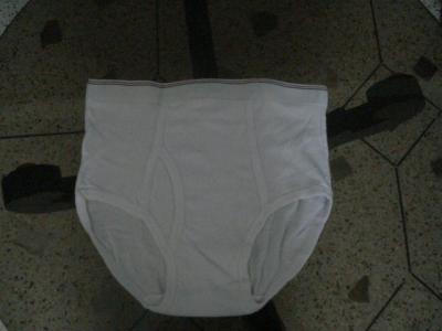 Mens Brief