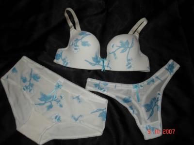 Ladies` Brief Sets (Ladies `Brève Sets)