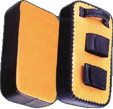 Martial Arts Training Focus Pads