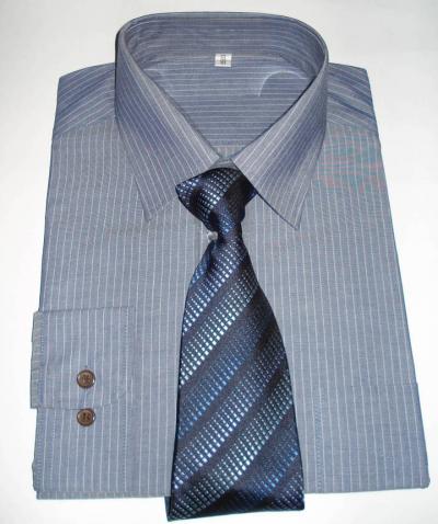 Men`s Shirt (Men`s Shirt)
