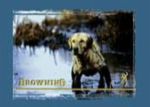 Junior T-Shirt Muddy Dog/slate L (Junior T-Shirt Muddy Dog/slate L)