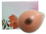 2015-Breast-Form (2015-Breast-Form)