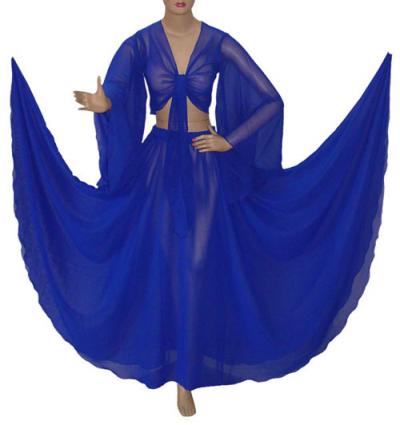 Belly Dance Designer Chiffon Full Circle Skirt + Top Costume (Belly Dance Designer Chiffon Full Circle Skirt + Top Costume)
