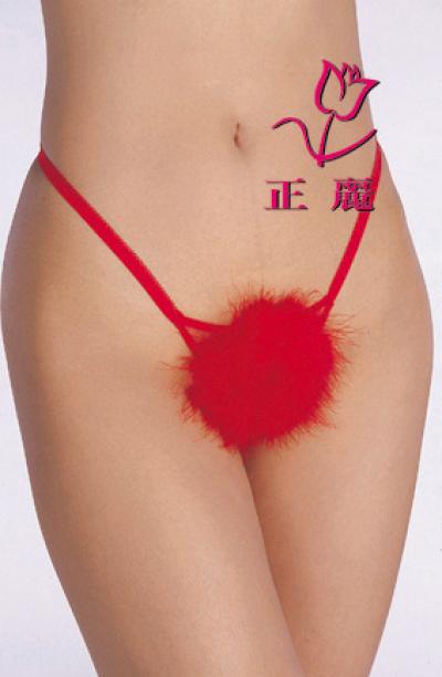Sexy Underwear-No: 2527