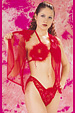 Sexy Lingerie-No: 547 (Sexy Lingerie-No: 547)