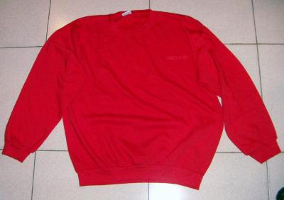 Sweatshirt (Блуза)