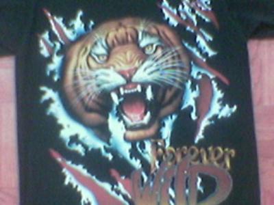 T-Shirts (Футболки)