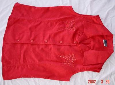 Shirt (Shirt)