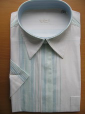 Men`s Printed Shirts, Polyester / Bamboo Fiber (Men `s Printed Shirts, polyester / fibre de bambou)