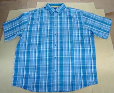 plaid shirt (plaid shirt)