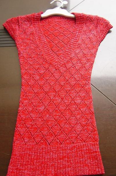 ladies` sweater (ladies` sweater)