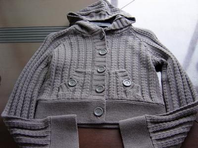 ladies` sweater (ladies` sweater)