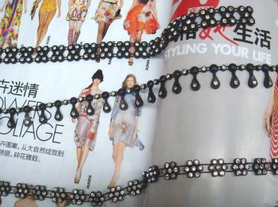 rhinestone trimming (rhinestone parage)