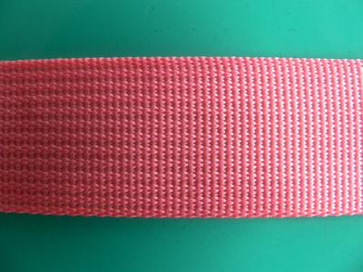 PP webbing (ПП лямки)