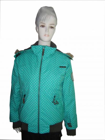 women`s ski wear (women`s ski wear)