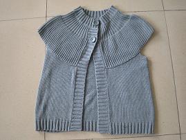 lady`s sweater (lady`s sweater)