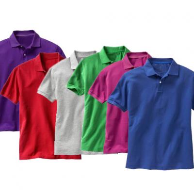 Men`s polo shirt (Men`s polo shirt)