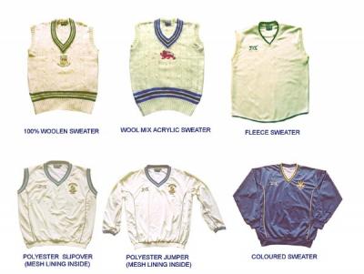 Cricket Sweater (Cricket Pullover)