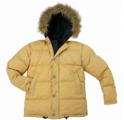 Winter Jacket (Manteau d`hiver)