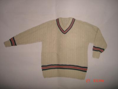 LADY`S SWEATER (LADY`S SWEATER)