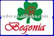 company logo (company logo)