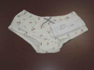 Women`s Underwear (Women`s Underwear)
