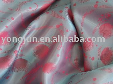 TR24018 Lining