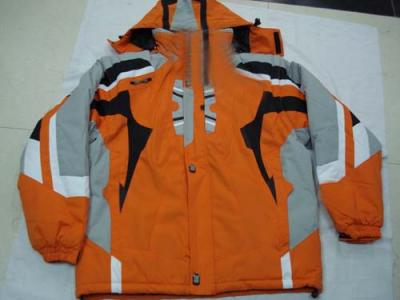 fashion outwear, designer clothes,coat (fashion outwear, designer clothes,coat)