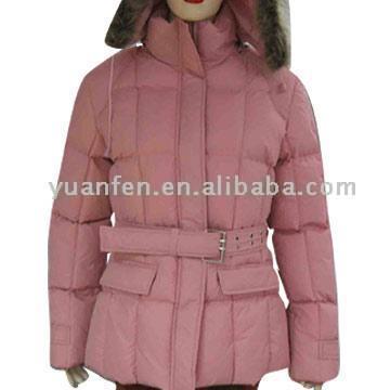 Ladies` Padded Jacket (Ladies` Padded Jacket)