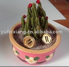 sewing button- m004