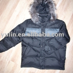 winter down coat (manteau d`hiver vers le bas)