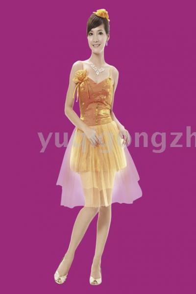 evening dress (evening dress)