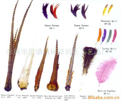 Feather (Feather)